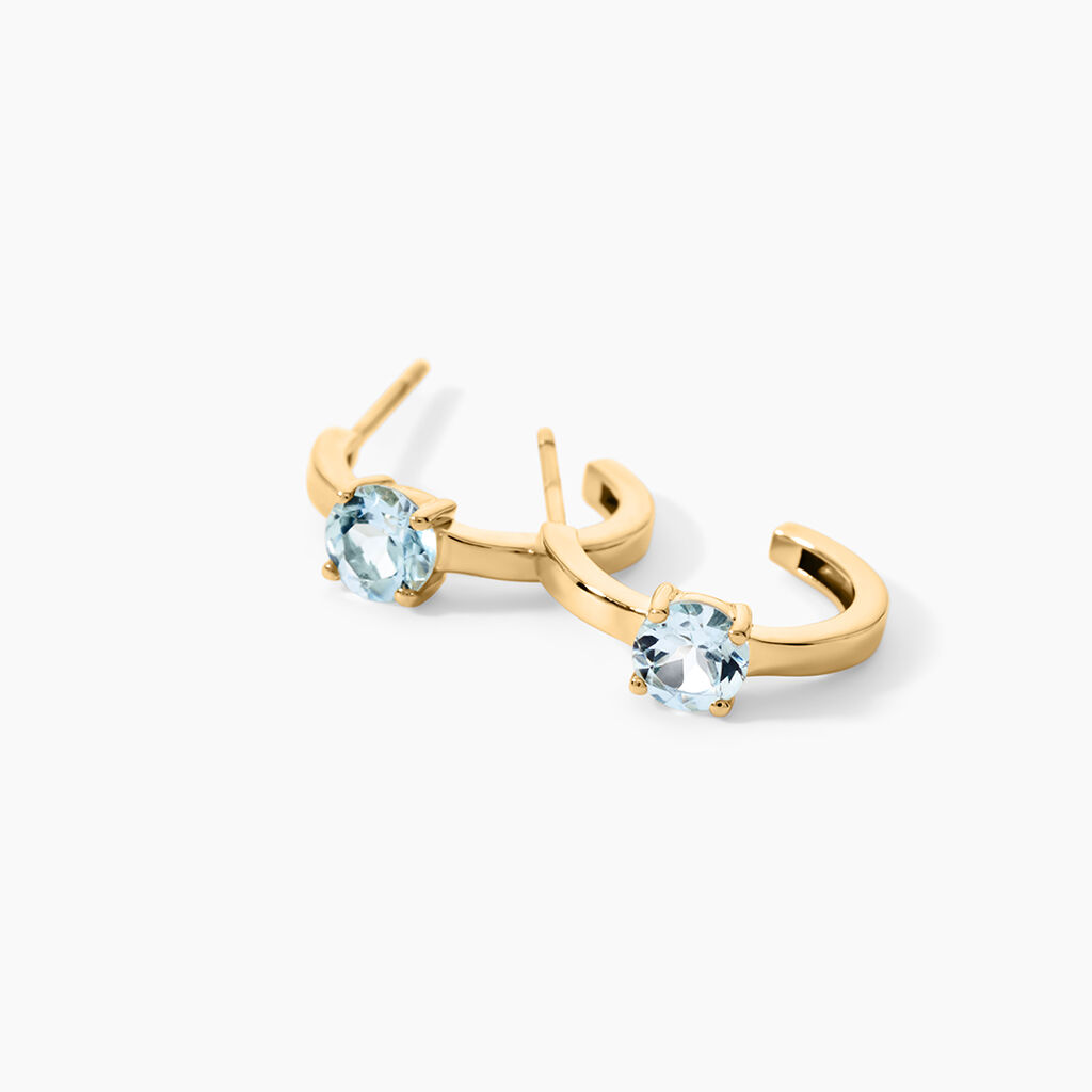 Cr&eacute;oles Nottingham Or Jaune Topaze - Boucles d'oreilles cr&eacute;oles Famille | Histoire d&rsquo;Or