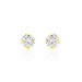Boucles D'oreilles Puces Eddie Or Jaune Oxyde De Zirconium