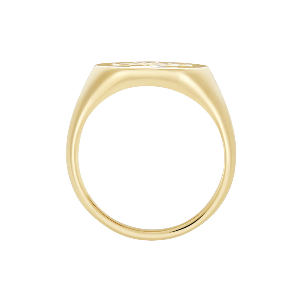 Chevali&egrave;re Gautier Plaqu&eacute; Or - Chevali&egrave;res Homme | Histoire d&rsquo;Or