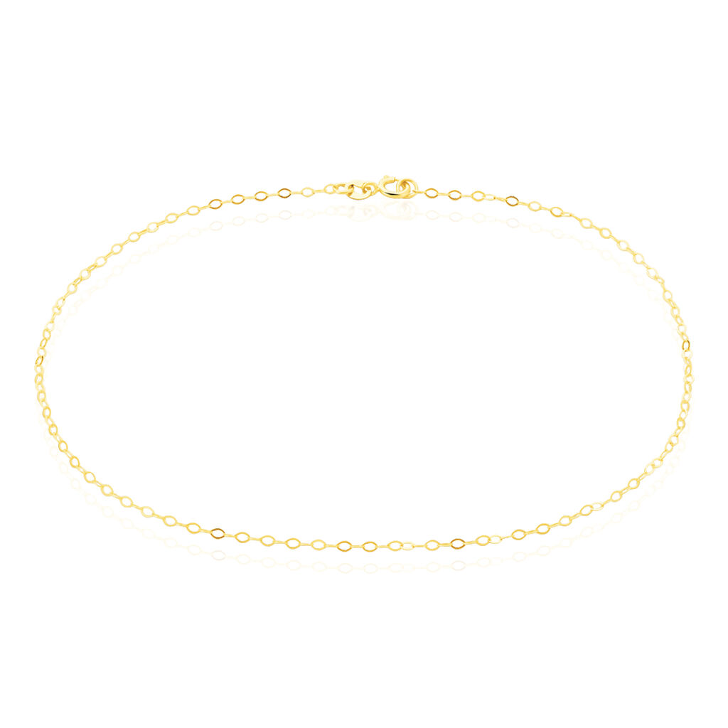 Cha&icirc;ne De Cheville Maille For&ccedil;at Or Jaune - Cha&icirc;nes de cheville Femme | Histoire d&rsquo;Or