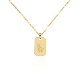 Collier Plaqué Or Quintien - Colliers Zodiaque Homme | Histoire d’Or