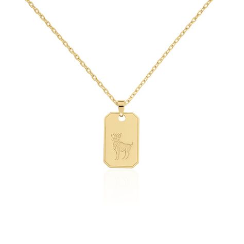 Collier Plaqué Or Quintien - Colliers Zodiaque Homme | Histoire d’Or