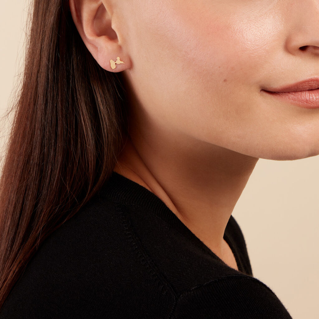 Boucles D'oreilles Puces Gwada Or Jaune - Clous d'oreilles Famille | Histoire d’Or