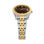 Montre Fossil Scarlette Mini Marron - Montres Femme | Histoire d&rsquo;Or