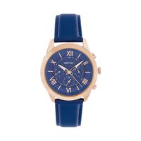 Montre Arctik Apex Bleu