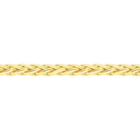 Collier Jany Maille Palmier Or Jaune - Chaines Femme | Histoire d’Or