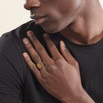 Chevali&egrave;re Argent Blanc Atilio Oeil De Tigre - Bagues solitaires Homme | Histoire d&rsquo;Or