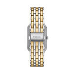 Montre Fossil Raquel Nacre - Montres Femme | Histoire d&rsquo;Or