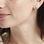 Boucles D'oreilles Puces Or Jaune Albizia Oxydes De Zirconium - Clous d'oreilles Femme | Histoire d&rsquo;Or