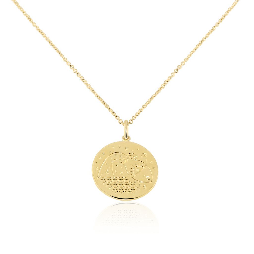 Collier Astro Plaqué Or - Colliers Zodiaque Femme | Histoire d’Or