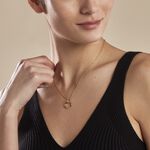 Collier Plaqu&eacute; Or Essia Oxydes De Zirconium - Colliers fantaisie Femme | Histoire d&rsquo;Or