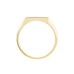 Chevali&egrave;re Lionel Plaqu&eacute; Or Jaune - Chevali&egrave;res Homme | Histoire d&rsquo;Or