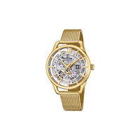 Montre Festina Skeleton Automatic Argenté