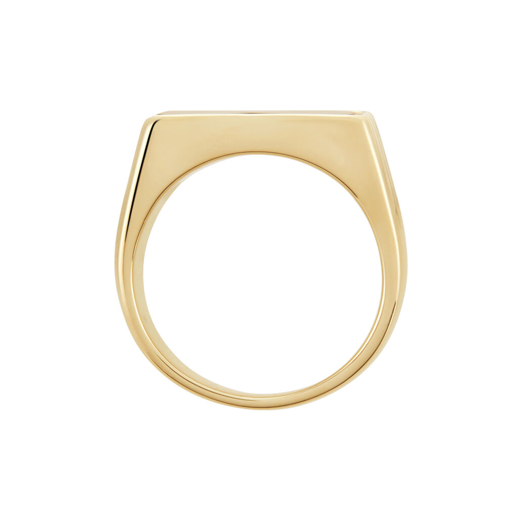 Chevali&egrave;re Plaqu&eacute; Hadrien Onyx - Bagues solitaires Homme | Histoire d&rsquo;Or