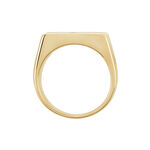 Chevali&egrave;re Plaqu&eacute; Hadrien Onyx - Bagues solitaires Homme | Histoire d&rsquo;Or