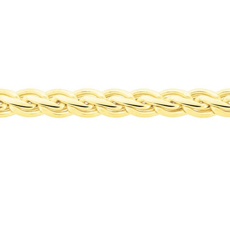 Collier Jayna Maille Palmier Or Jaune - Chaines Femme | Histoire d’Or