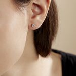 Boucles D'oreilles Puces 4 Griffes Or Blanc Diamant Synthetique - Clous d'oreilles Femme | Histoire d&rsquo;Or