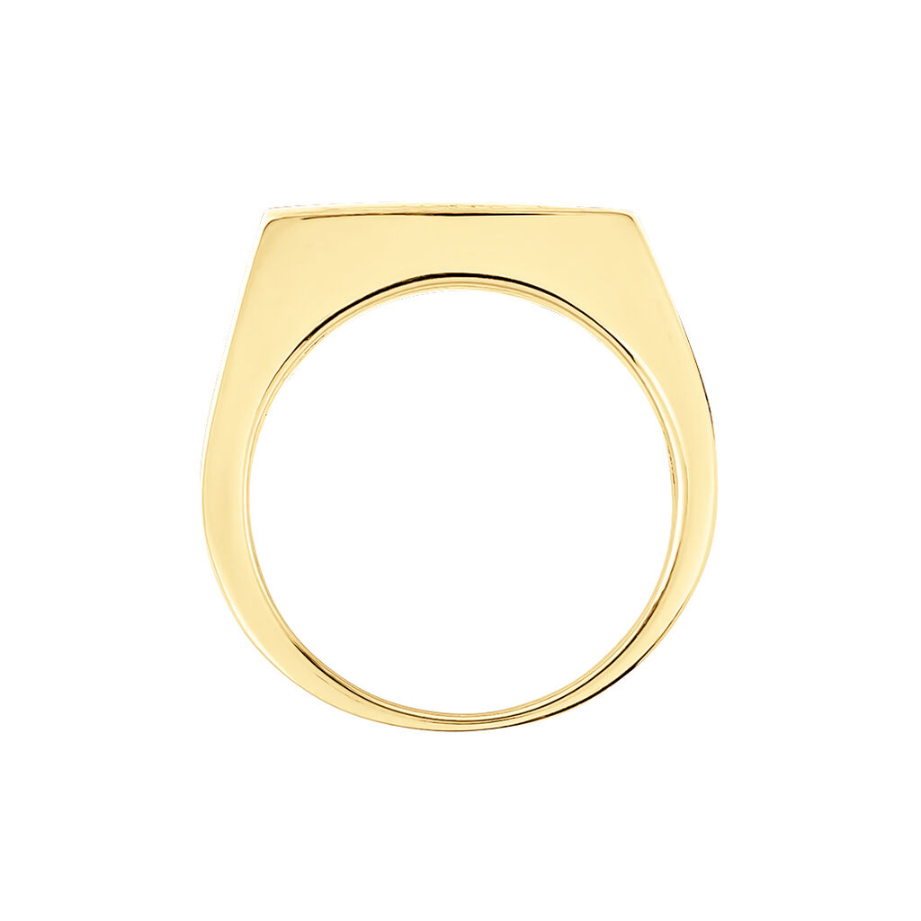 Chevali&egrave;re Chuck Or Jaune - Chevali&egrave;res Homme | Histoire d&rsquo;Or