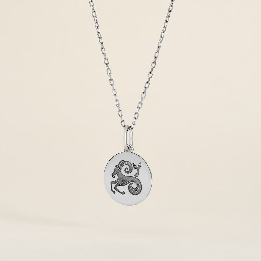 Pendentif Zodiaque Rond Argent Blanc - Pendentifs Zodiaque Famille | Histoire d’Or