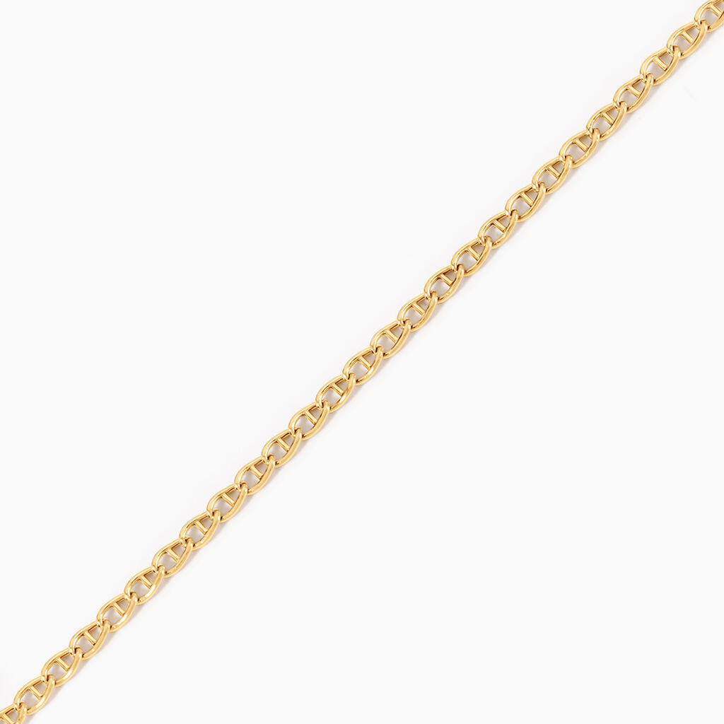 Collier Capucin Or Jaune Maille Marine Plate - Chaines Femme | Histoire d&rsquo;Or