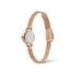 Montre Daniel Wellington Petite Mini Champagne - Montres Femme | Histoire d’Or