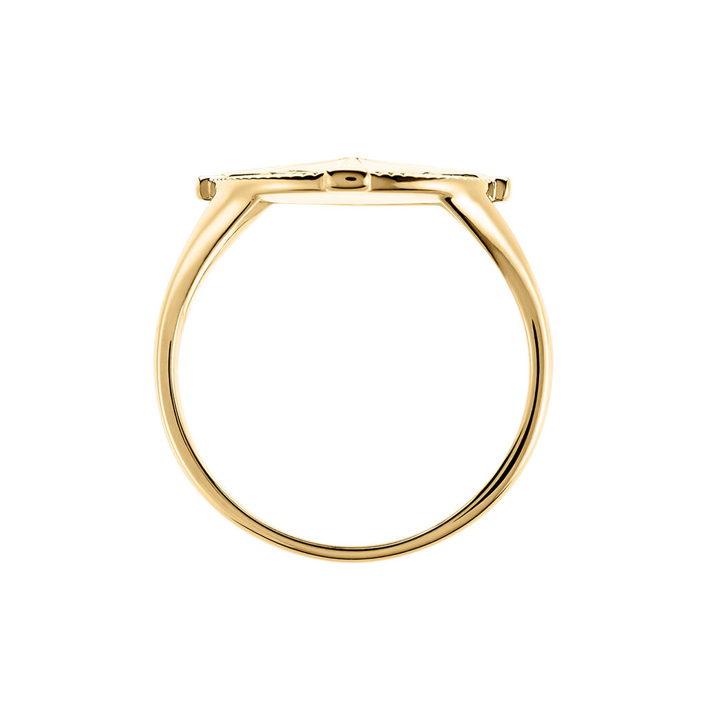 Chevali&egrave;re Jet Plaqu&eacute; Or Jaune - Chevali&egrave;res Homme | Histoire d&rsquo;Or