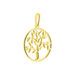 Pendentif Or Jaune Edelys - Pendentifs Femme | Histoire d’Or