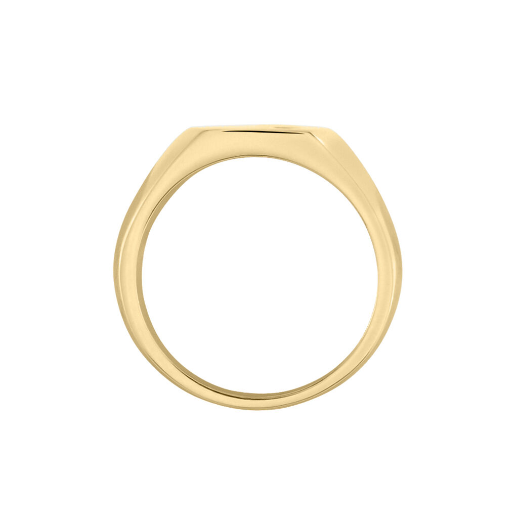 Chevalière Hide Plaqué Or Oxyde De Zirconium - Chevalières Homme | Histoire d’Or