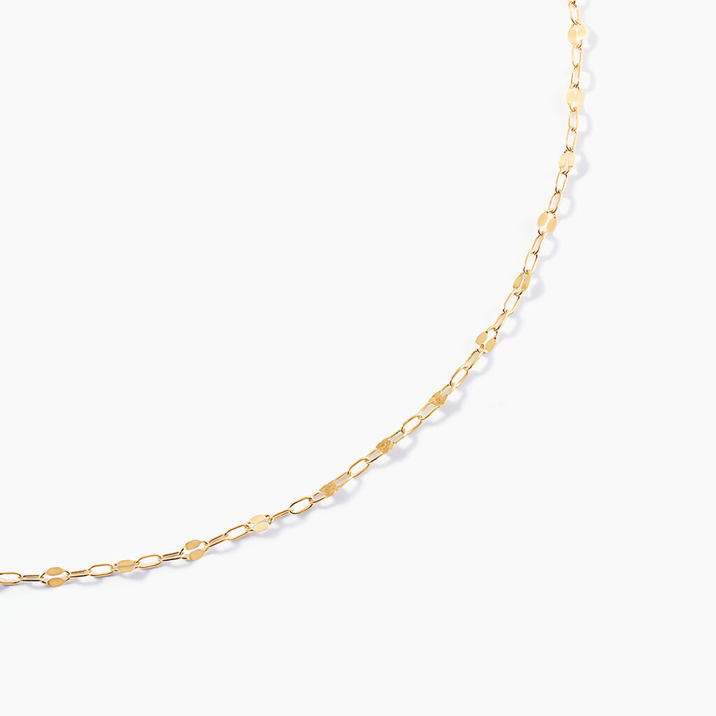 Chaine Or Jaune Persea - Chaines Femme | Histoire d’Or