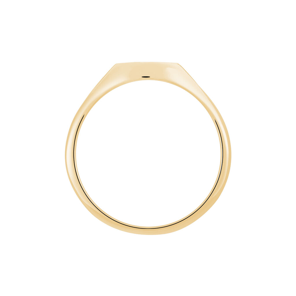 Chevali&egrave;re Gregoire Plaqu&eacute; Or Jaune - Chevali&egrave;res Famille | Histoire d&rsquo;Or