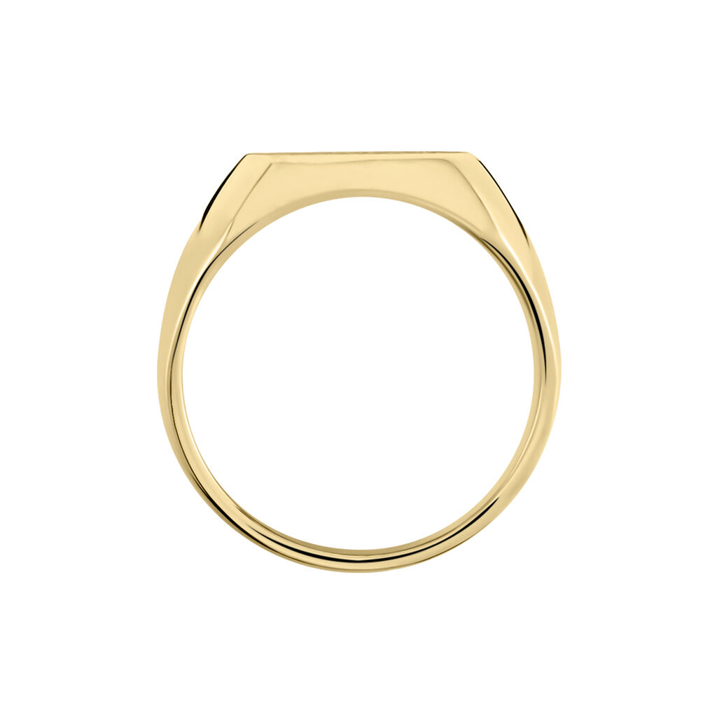 Chevali&egrave;re Zoey Plaqu&eacute; Or Jaune - Chevali&egrave;res Homme | Histoire d&rsquo;Or