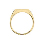 Chevali&egrave;re Zoey Plaqu&eacute; Or Jaune - Chevali&egrave;res Homme | Histoire d&rsquo;Or