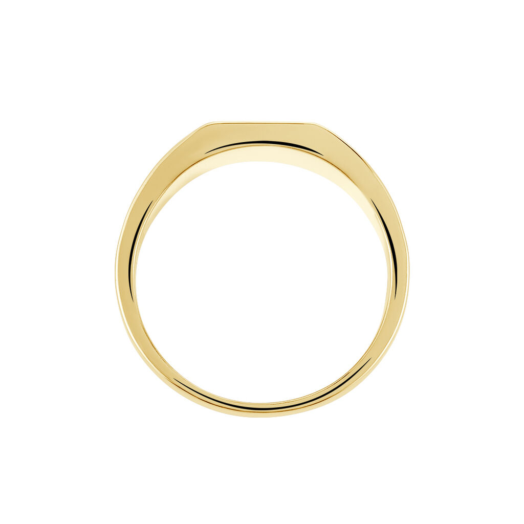 Chevali&egrave;re Plaqu&eacute; Or Jaune Ariston Email Noir - Chevali&egrave;res Homme | Histoire d&rsquo;Or