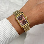 Montre Cluse Belisenna Marron - F&ecirc;te des m&egrave;res Femme | Histoire d&rsquo;Or