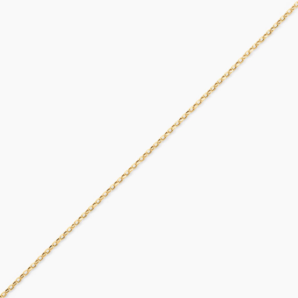 Cha&icirc;ne De Cheville Jahleel Or Jaune - Cha&icirc;nes de cheville Femme | Histoire d&rsquo;Or