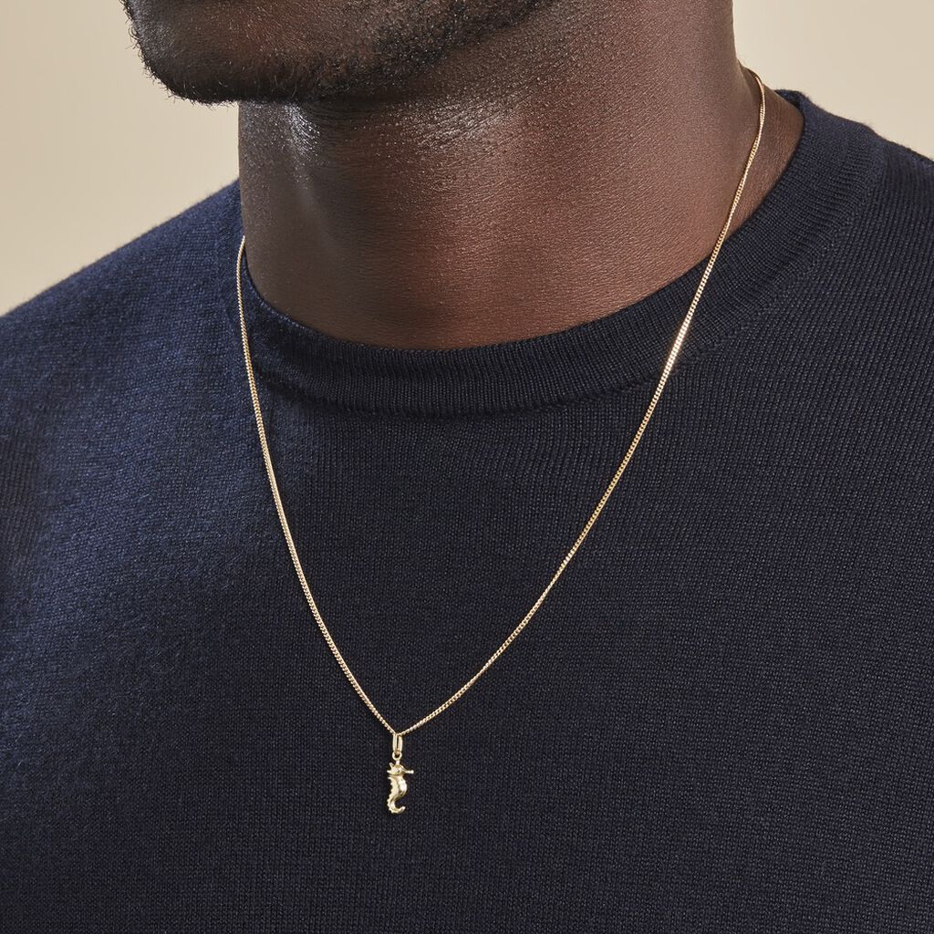 Pendentif Illide Hippocampe Or Jaune - Pendentifs Famille | Histoire d’Or