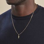 Pendentif Illide Hippocampe Or Jaune - Pendentifs Famille | Histoire d&rsquo;Or