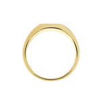 Chevali&egrave;re Plaqu&eacute; Or Jaune Ariston Email Noir - Chevali&egrave;res Homme | Histoire d&rsquo;Or