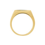 Chevali&egrave;re Acier Dor&eacute; Luciano - Chevali&egrave;res Homme | Histoire d&rsquo;Or