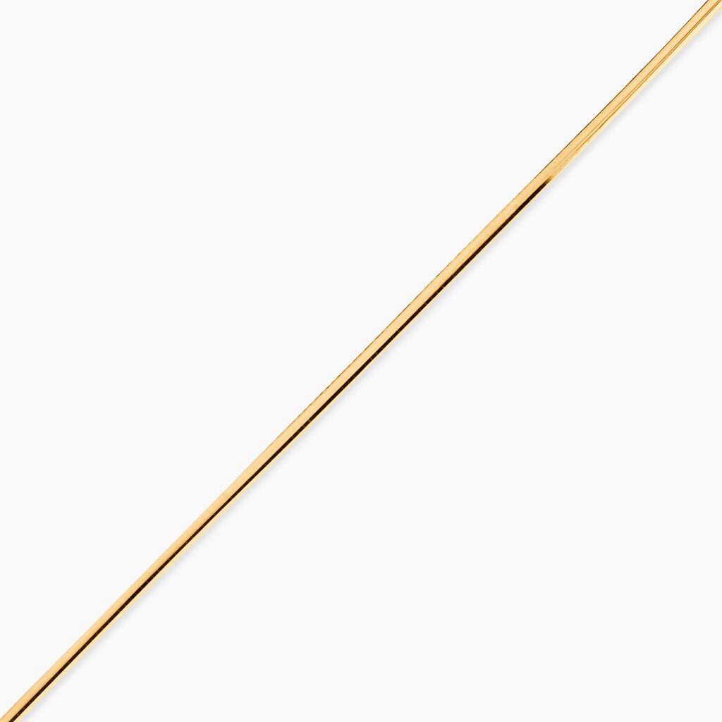 Bracelet Olearia Or Jaune - Bracelets cha&icirc;ne Femme | Histoire d&rsquo;Or