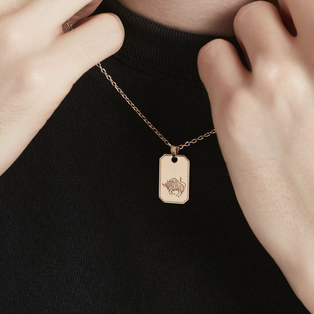 Collier Plaqué Or Quintien - Colliers Zodiaque Homme | Histoire d’Or