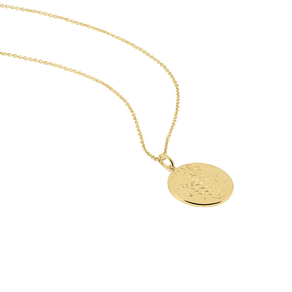 Collier Astro Plaqué Or - Colliers Zodiaque Femme | Histoire d’Or