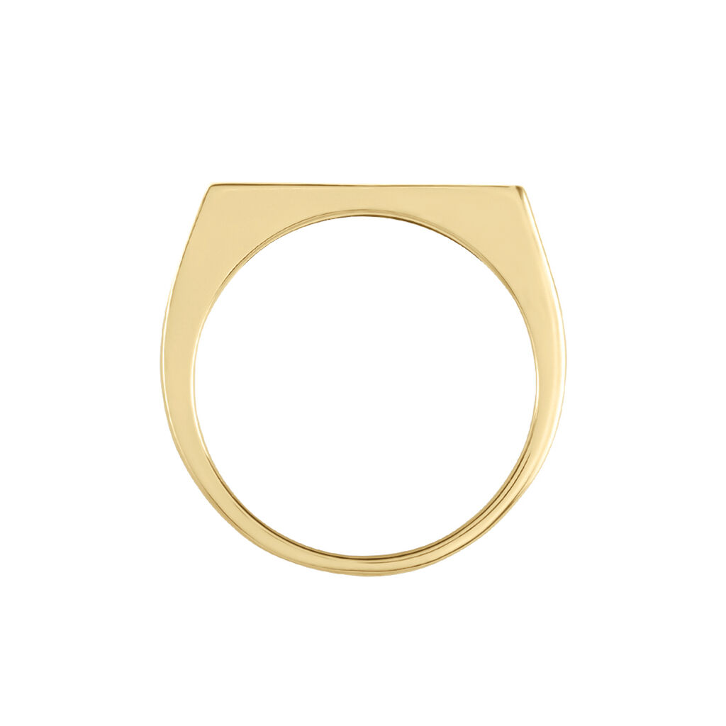 Chevali&egrave;re Tommi Plaqu&eacute; Or Jaune - Chevali&egrave;res Homme | Histoire d&rsquo;Or