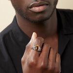 Chevali&egrave;re Acier Vieilli Keegan &oelig;il De Tigre - Bagues solitaires Homme | Histoire d&rsquo;Or