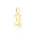 Pendentif Helidie Coccinelle Lettre Or Jaune - Pendentifs Enfant | Histoire d’Or