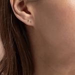 Boucles D'oreilles Puces Fulvie Dauphin Or Jaune - Clous d'oreilles Femme | Histoire d&rsquo;Or