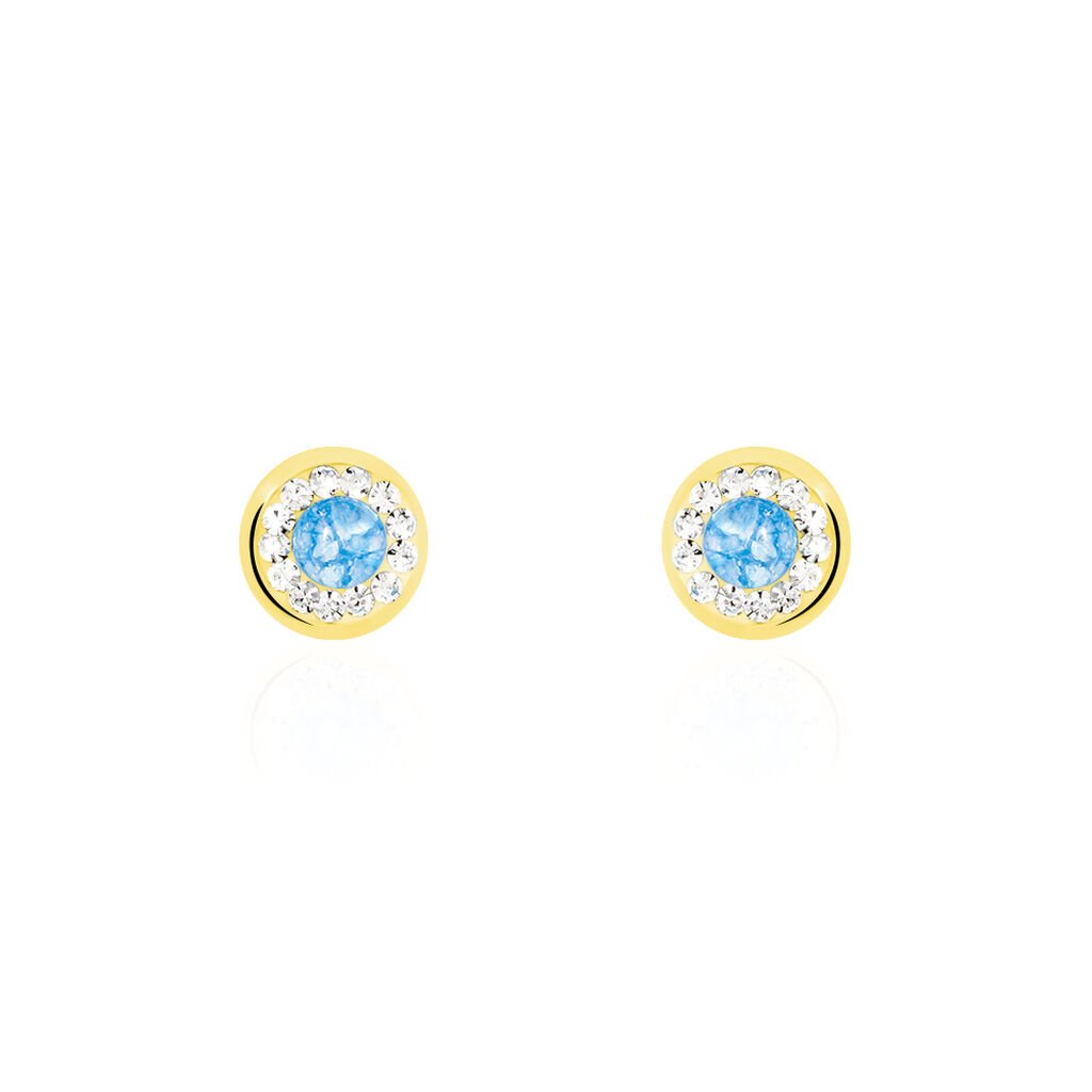 Boucles D'oreilles Amazone Or Jaune Email Strass