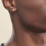 Boucles D'oreilles Puces Or Blanc Oxyde De Zirconium - Clous d'oreilles Famille | Histoire d&rsquo;Or