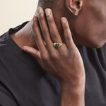 Chevali&egrave;re Plaqu&eacute; Or Jaune Nelson Email Noir - Chevali&egrave;res Homme | Histoire d&rsquo;Or