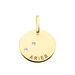 Pendentif Or Jaune Astraea Oxyde De Zirconium - Pendentifs Zodiaque Femme | Histoire d’Or
